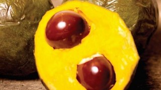 ルクマの効果と効能!カロリーやレシピや使い方は?ダイエットの間食に!