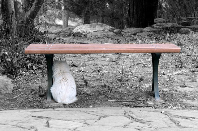 416c90fe7c2ffc5867a72fc7f2f9fc99 416c90fe7c2ffc5867a72fc7f2f9fc99